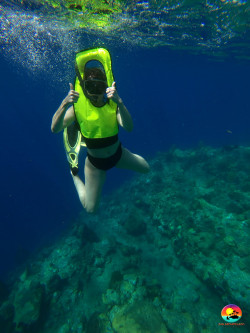 snorkelling-at-mnemba-island-zanzibar