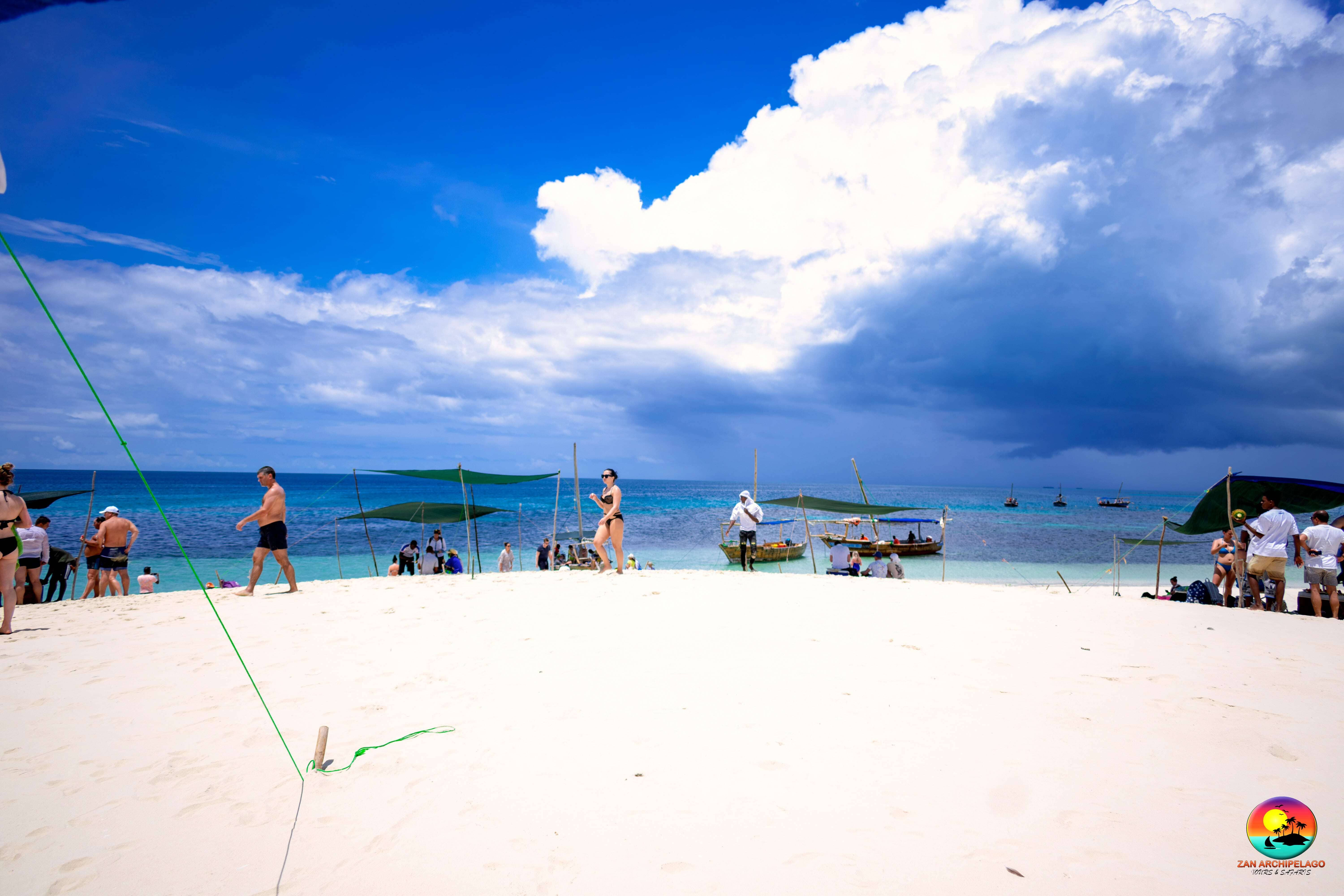 Safari blue zanzibar